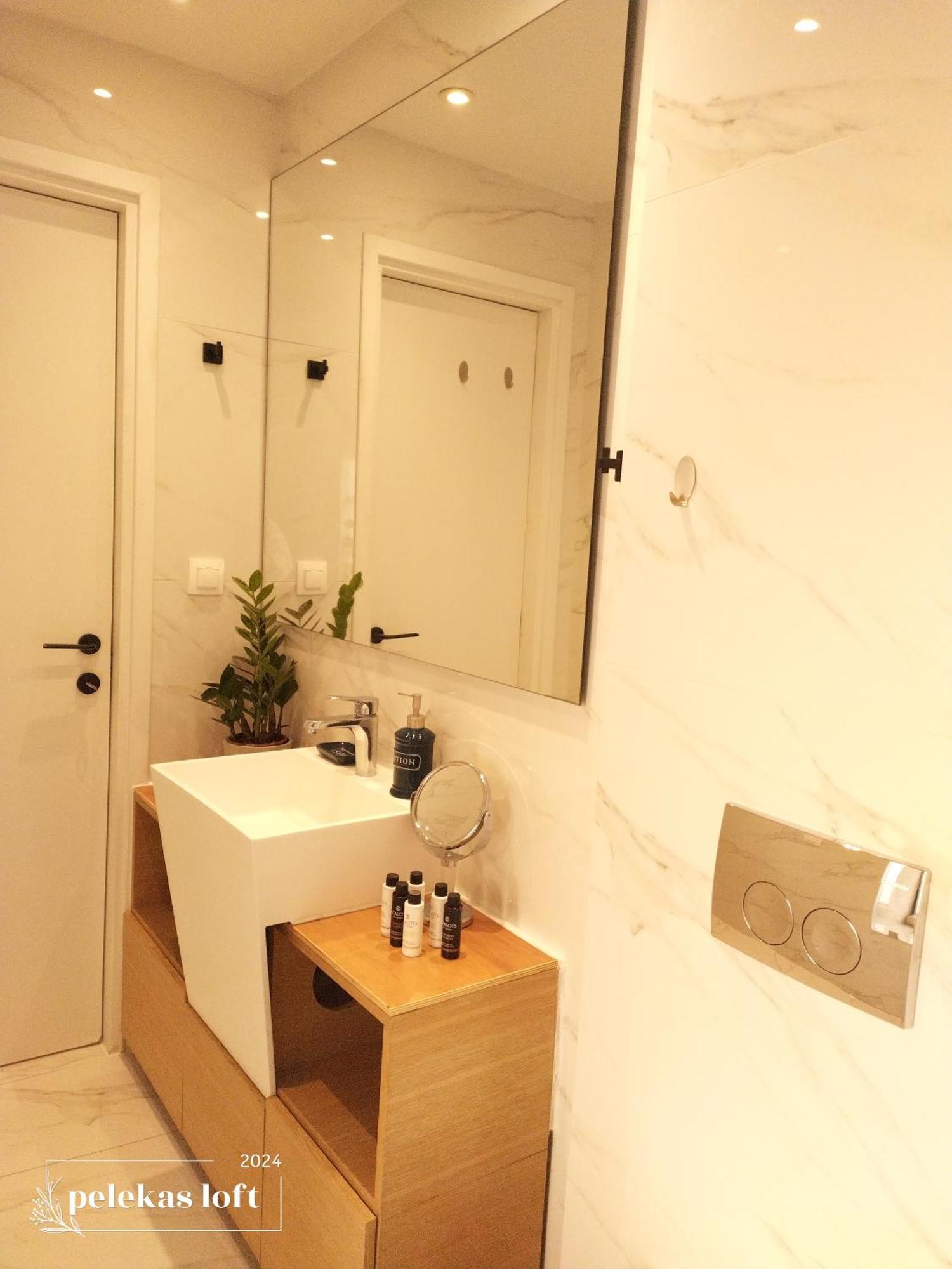 Apartament Loft *