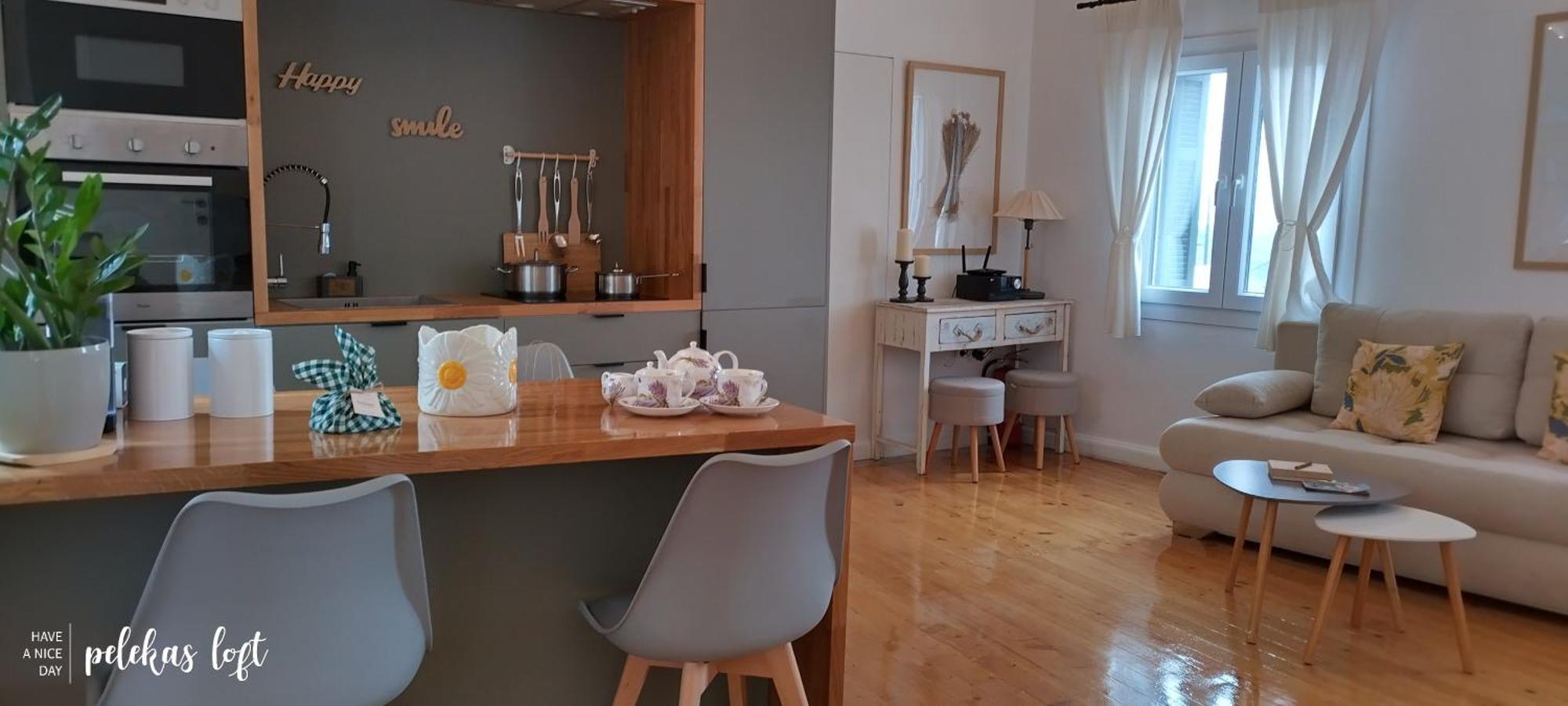 Apartament Loft